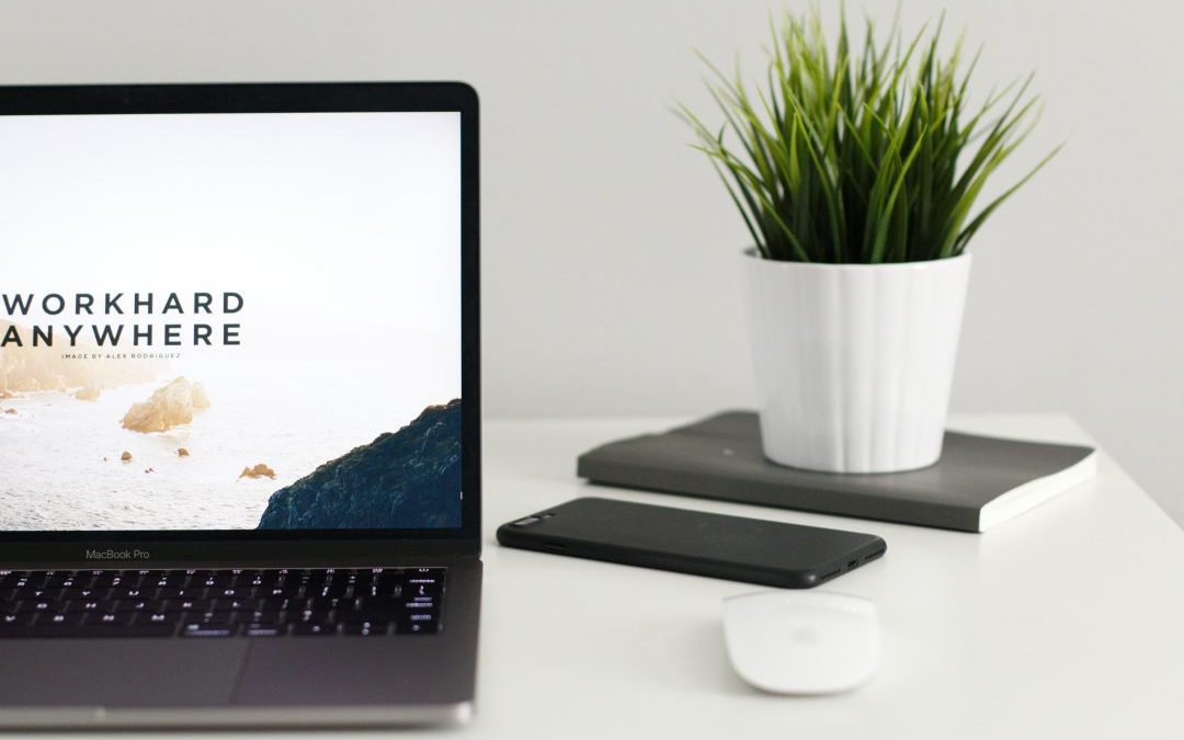 Case Study – The Power of Email Automation